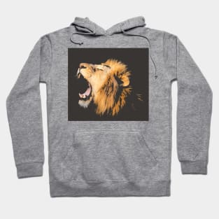 yawning Lion Hoodie